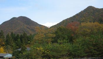 三田・立杭の紅葉.jpg