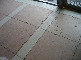 野村・音大床埋め前10%.jpg