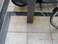 CIMG3303・6%.jpg